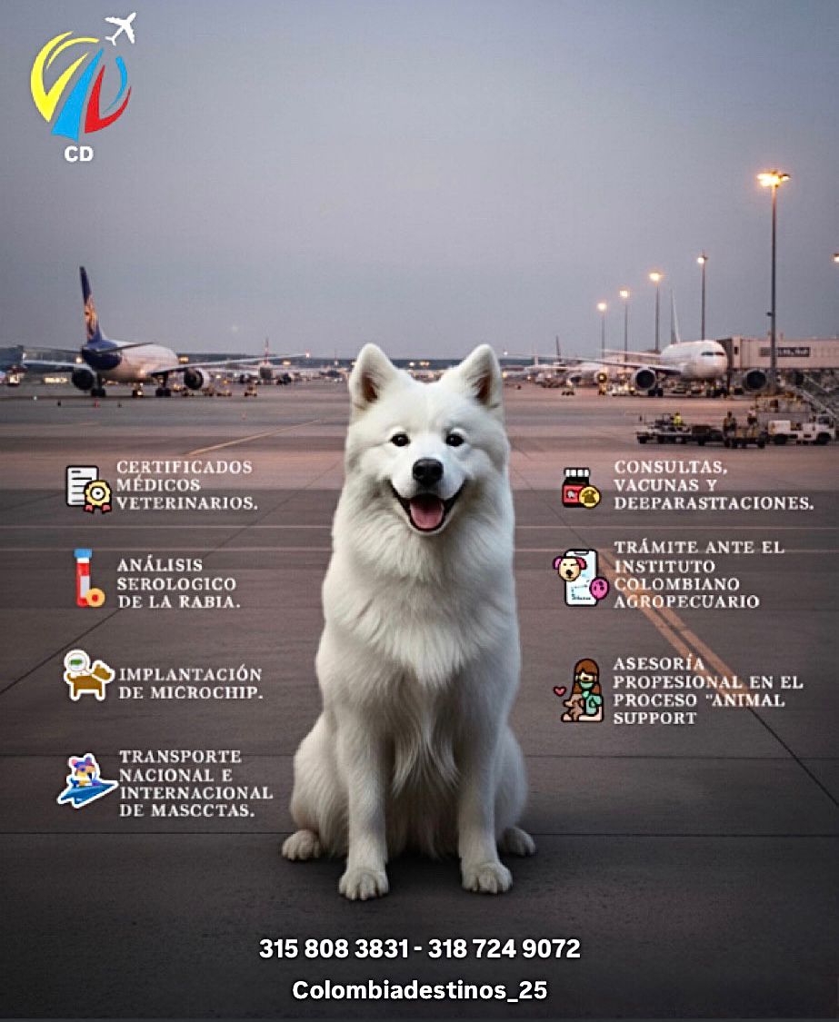 🐾✈️ ¡VIAJA CON TU MASCOTA, NOSOTROS NOS ENCARGAMOS DEL TRÁMITE! 🐶🐱💙